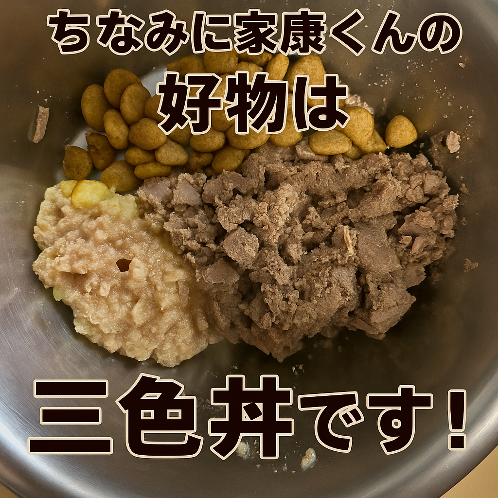🐾 見つめる先には…家康君が大好きな“デビフ缶”